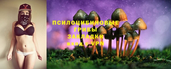 ГАЛЛЮЦИНОГЕННЫЕ ГРИБЫ Алексеевка