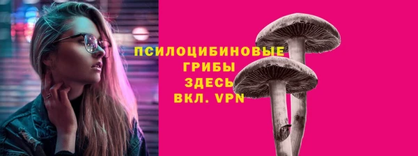 2c-b Алзамай