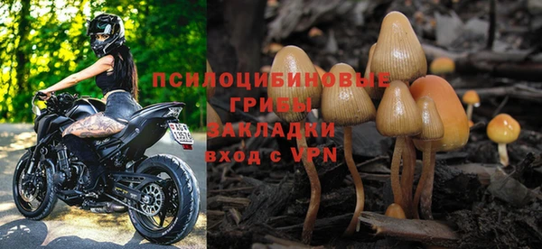 ГАЛЛЮЦИНОГЕННЫЕ ГРИБЫ Алексеевка