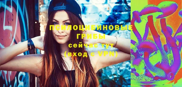 ГАЛЛЮЦИНОГЕННЫЕ ГРИБЫ Алексеевка