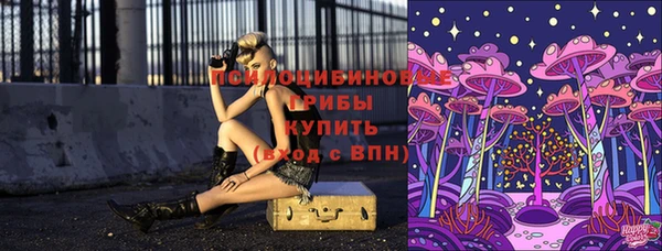 ГАЛЛЮЦИНОГЕННЫЕ ГРИБЫ Алексеевка