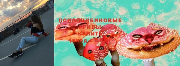 ГАЛЛЮЦИНОГЕННЫЕ ГРИБЫ Алексеевка
