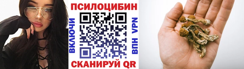 Псилоцибиновые грибы прущие грибы  сколько стоит  Дно 